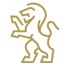 home-custom-icon-2 a